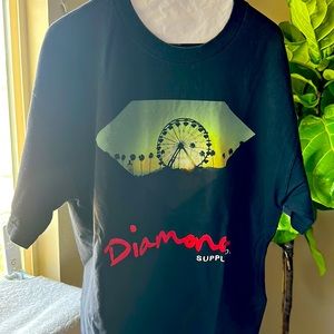 Coachella Ferris wheel